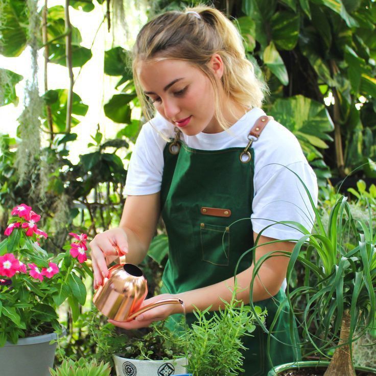 7 Tanaman Herbal Serbaguna yang Wajib Kamu Punya di Rumah