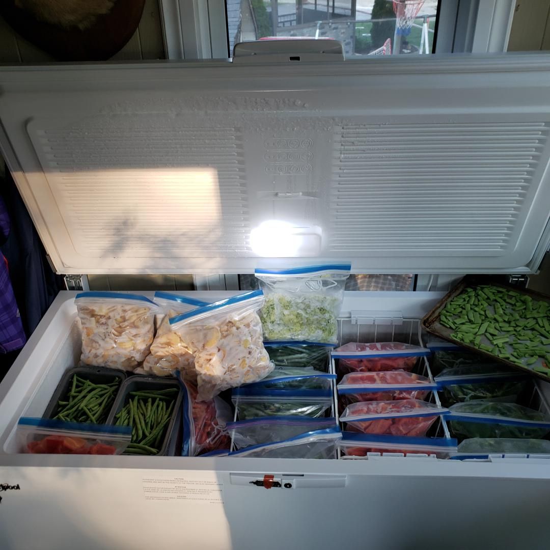 Benarkah Frozen Food Bisa Membuat Tubuh Gemuk? Ini Faktanya
