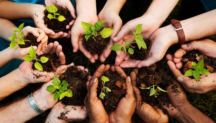 Gerakan Sosial Peduli Lingkungan Hadirkan Perubahan Nyata